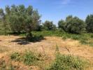 For sale Land Saint-hilaire-d'ozilhan 6640 m2