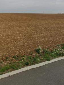 For sale Saint-xandre 307 m2 Charente maritime (17138) photo 0