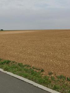 For sale Saint-xandre 307 m2 Charente maritime (17138) photo 2