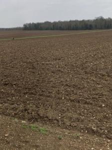 For sale Saint-xandre 305 m2 Charente maritime (17138) photo 0