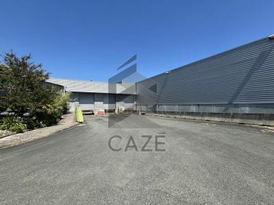 Louer Commerce 1465 m2 Haillan
