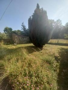Annonce Vente 4 pices Maison Bubry 56