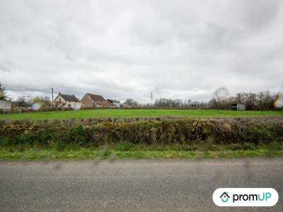 Acheter Terrain Montvicq 43000 euros