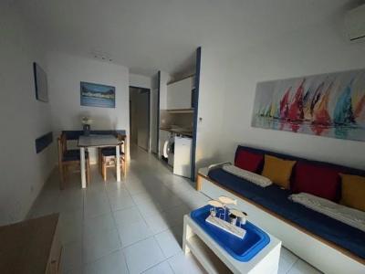 For rent Villeneuve-loubet 1 room 28 m2 Alpes Maritimes (06270) photo 4