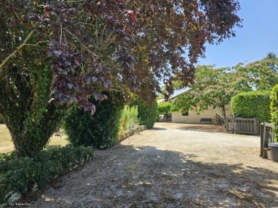 Annonce Vente 9 pices Maison Champagne-mouton 16