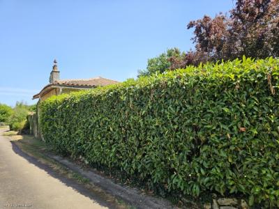 Acheter Maison Champagne-mouton 234000 euros