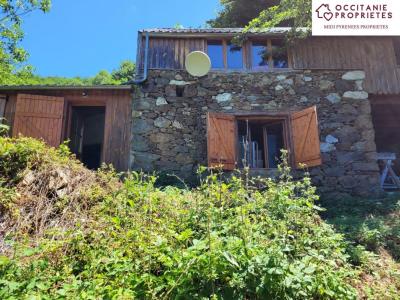 Annonce Vente 4 pices Maison Massat 09