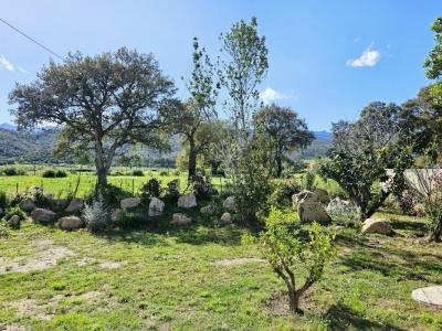 For sale Prunelli-di-fiumorbo 4 rooms 100 m2 Corse (20243) photo 3