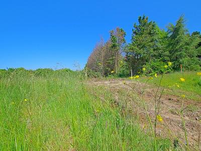 Annonce Vente Terrain  85