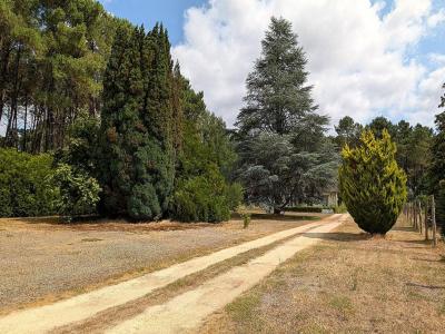 Annonce Vente 6 pices Maison Oize 72