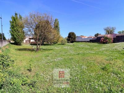 For sale Yves 7 rooms 174 m2 Charente maritime (17340) photo 3