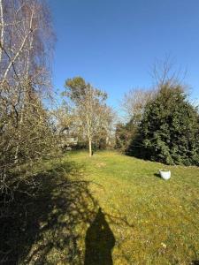 Annonce Vente 5 pices Maison Pleudihen-sur-rance 22