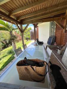 Acheter Maison Anse-bertrand Guadeloupe