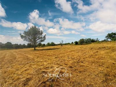 Annonce Vente Terrain Villeneuve-minervois 11