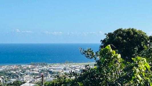 For sale Saint-joseph 995 m2 Reunion (97480) photo 0