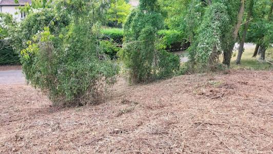 Annonce Vente Terrain Puycasquier 32