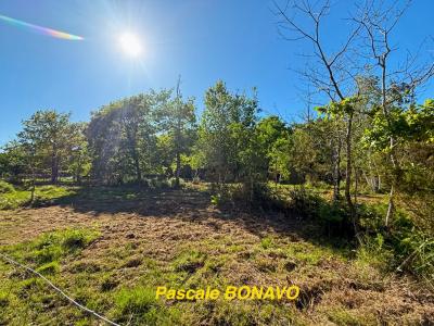 Acheter Terrain 2327 m2 Vendays-montalivet