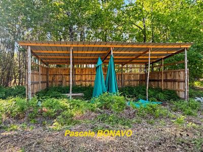 Acheter Terrain Vendays-montalivet 25990 euros