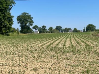 For sale Sixt-sur-aff 9678 m2 Ille et vilaine (35550) photo 1
