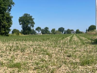 For sale Sixt-sur-aff 9678 m2 Ille et vilaine (35550) photo 3