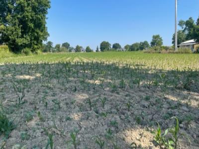For sale Sixt-sur-aff 9678 m2 Ille et vilaine (35550) photo 4