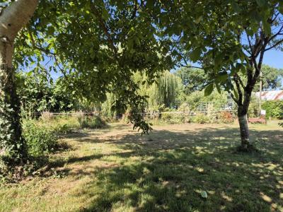 For sale Grosbreuil 508 m2 Vendee (85440) photo 1