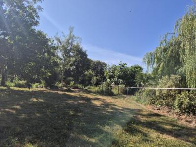 For sale Grosbreuil 508 m2 Vendee (85440) photo 2