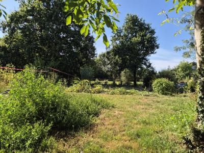 For sale Grosbreuil 508 m2 Vendee (85440) photo 3