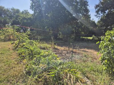 For sale Grosbreuil 508 m2 Vendee (85440) photo 4
