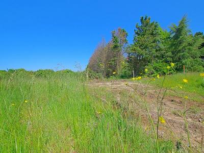 Annonce Vente Terrain Ile-d'olonne 85
