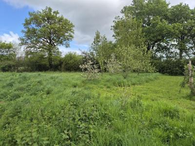 For sale Grosbreuil 1435 m2 Vendee (85440) photo 1