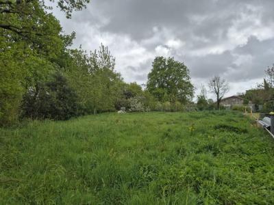 For sale Grosbreuil 1435 m2 Vendee (85440) photo 2