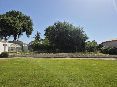 For sale Sainte-foy 533 m2 Vendee (85150) photo 0