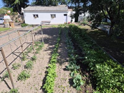 For sale Sainte-foy 533 m2 Vendee (85150) photo 3