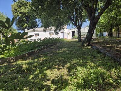 For sale Sainte-foy 533 m2 Vendee (85150) photo 4