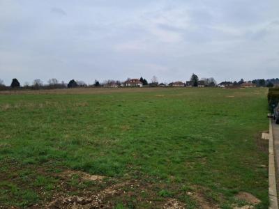 Annonce Vente Maison Dole 39