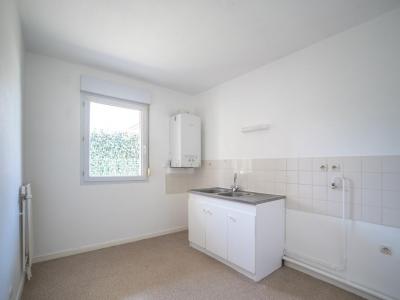 Annonce Location Appartement Marmagne 71
