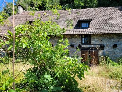 Annonce Vente 5 pices Maison Bort-les-orgues 19