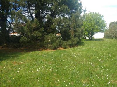 Acheter Maison 117 m2 Ile-d'yeu