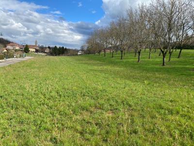 Annonce Vente Terrain Saint-blaise-du-buis 38