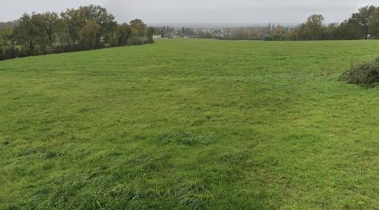 For sale Mouilleron-en-pareds 558 m2 Vendee (85390) photo 1