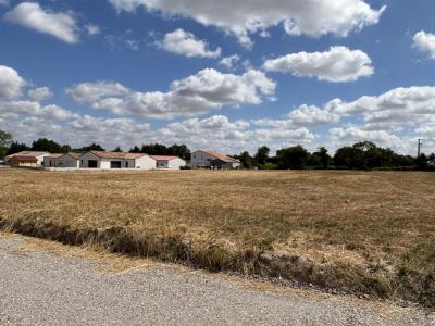 Annonce Vente Maison Saint-martin-des-tilleuls 85