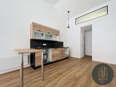 Annonce Vente 2 pices Appartement Villefranche-sur-saone 69