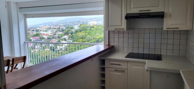 Louer Appartement 53 m2 Schoelcher