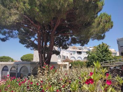 For sale Grau-du-roi 2 rooms 28 m2 Gard (30240) photo 0