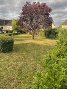Annonce Vente Terrain Checy 45