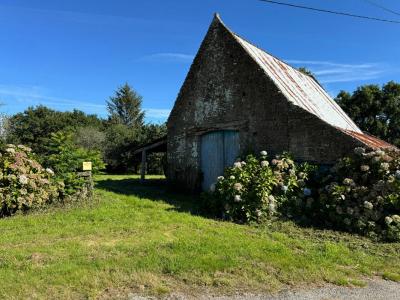 Annonce Vente 4 pices Maison Plumergat 56