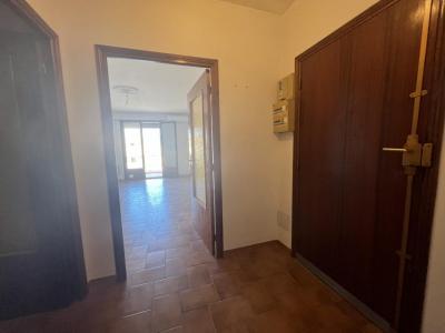 Annonce Location 3 pices Appartement Pietrosella 20