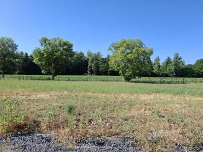 Annonce Vente Terrain Issoire 63