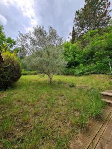 Annonce Location 4 pices Maison Limoux 11